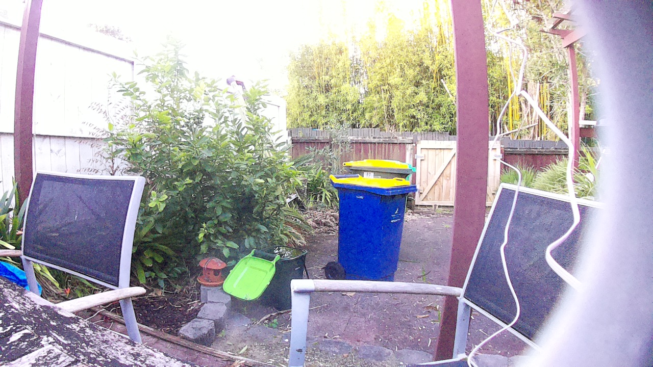 Ham_field1_20250723_170002.jpg