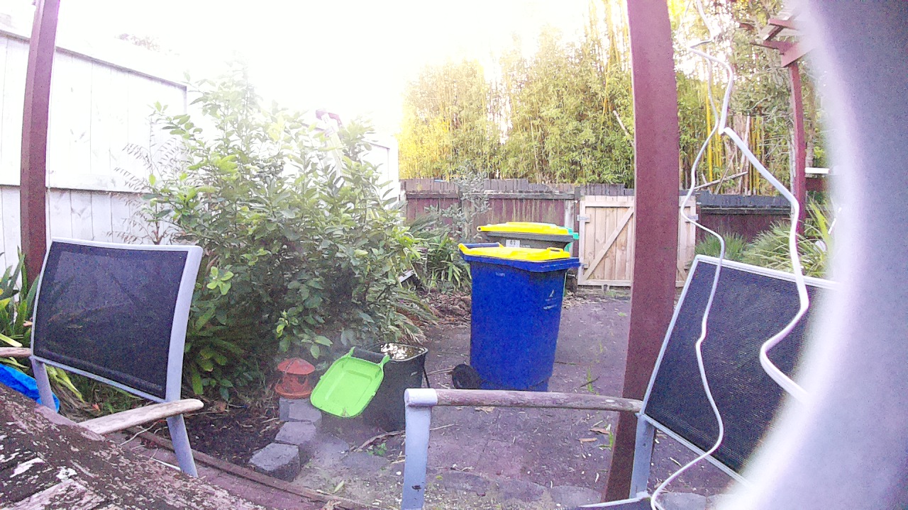 Ham_field1_20250724_080001.jpg