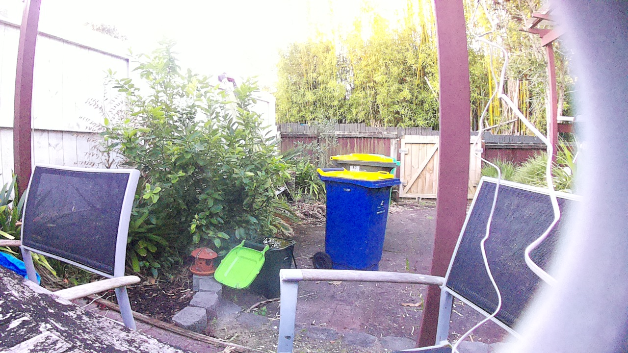 Ham_field1_20250724_170001.jpg