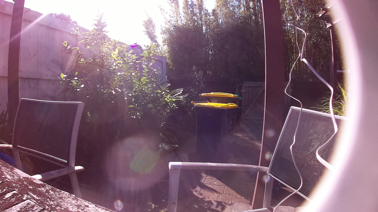 Ham_field1_20250725_110001.jpg