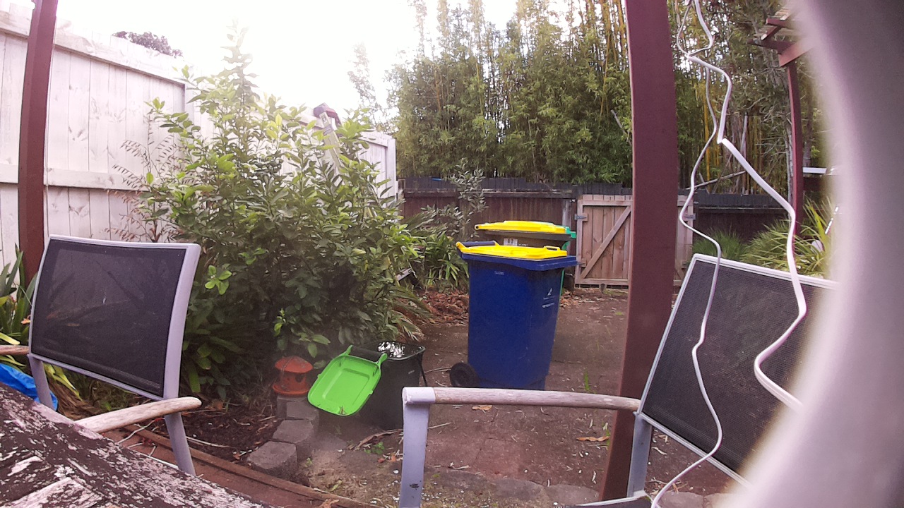 Ham_field1_20250725_113002.jpg