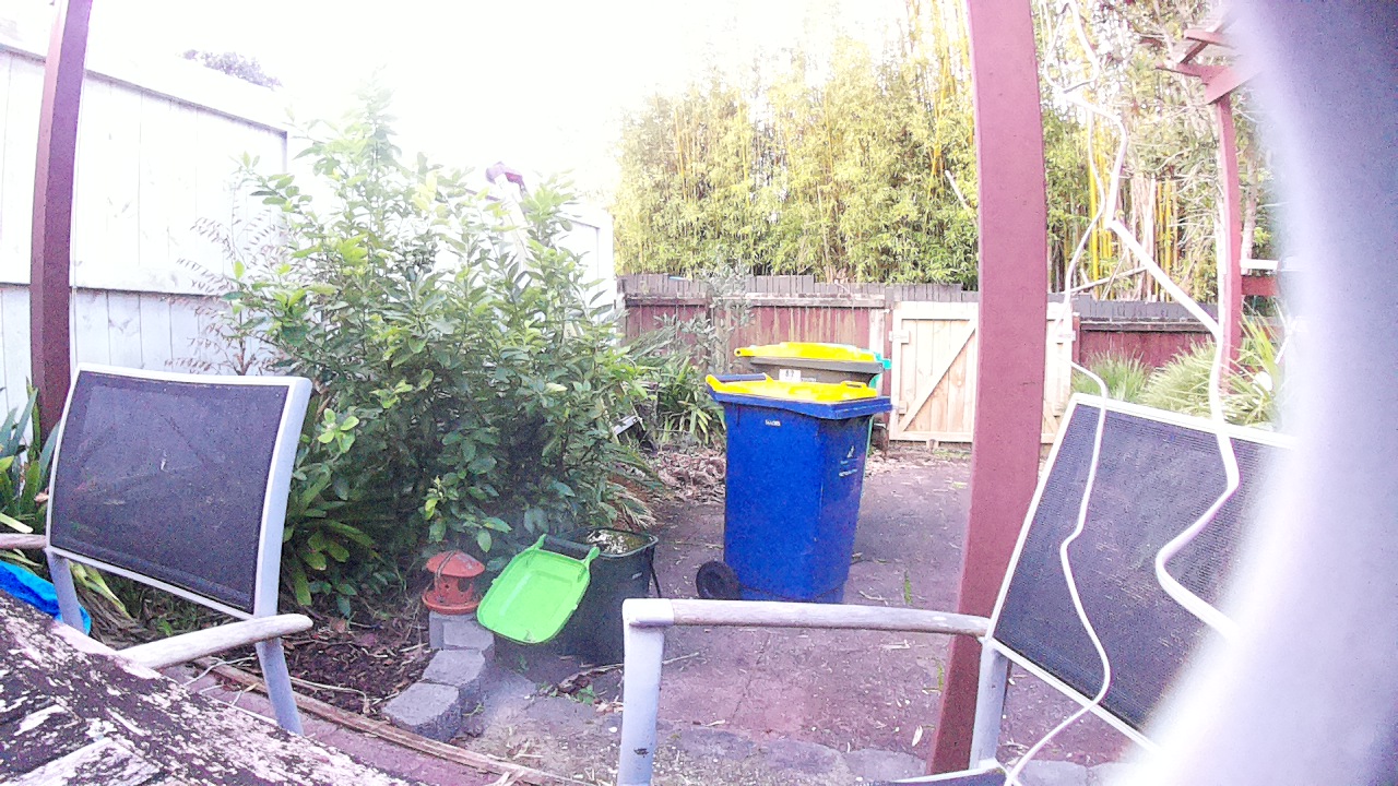 Ham_field1_20250725_170001.jpg