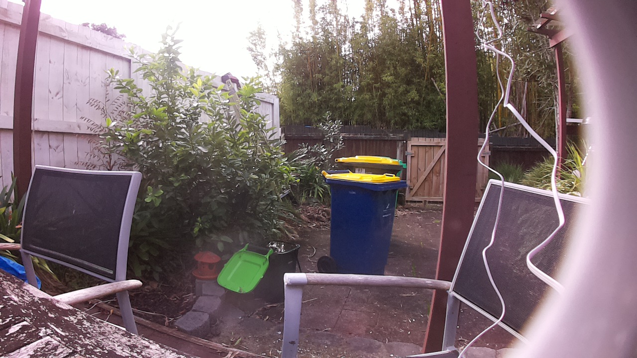 Ham_field1_20250726_113002.jpg