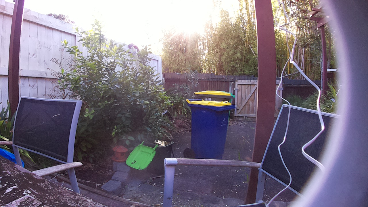 Ham_field1_20250727_090002.jpg