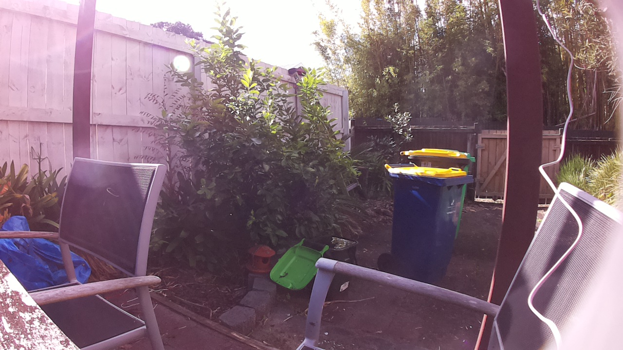 Ham_field1_20250727_132756.jpg
