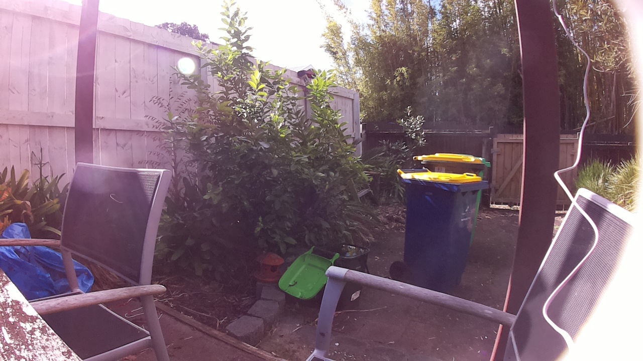 Ham_field1_20250727_133002.jpg