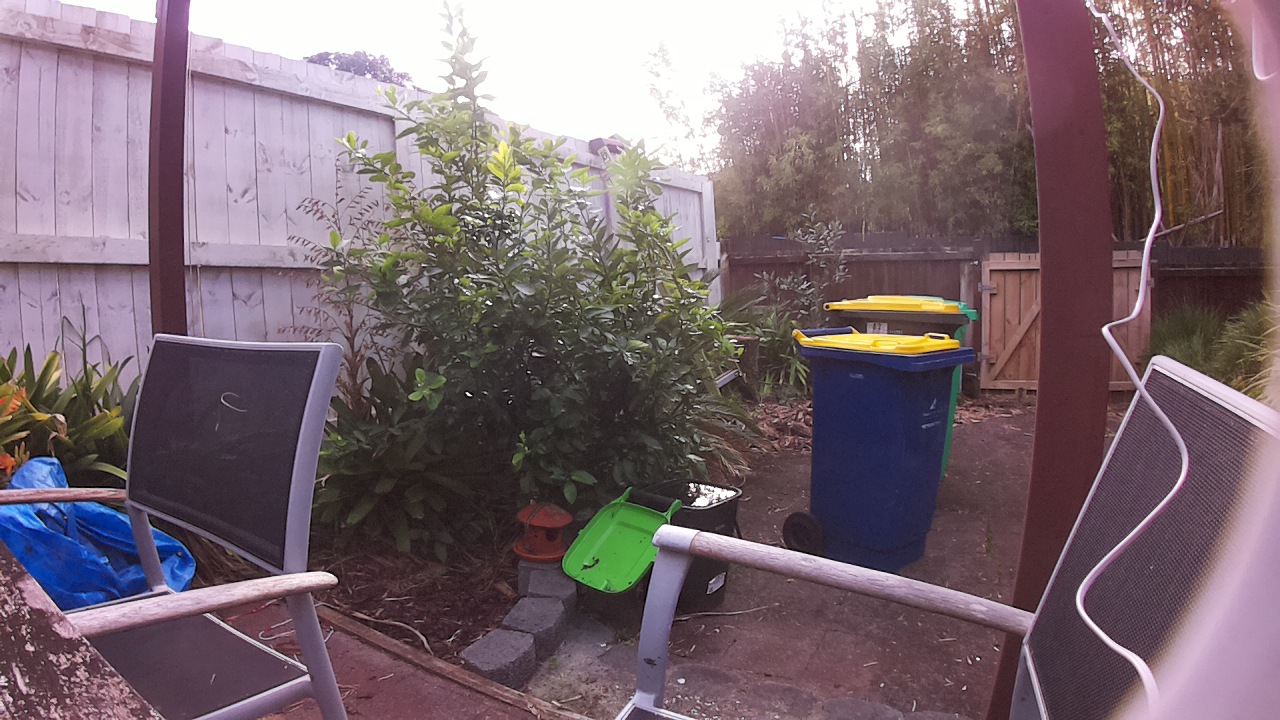 Ham_field1_20250728_093001.jpg