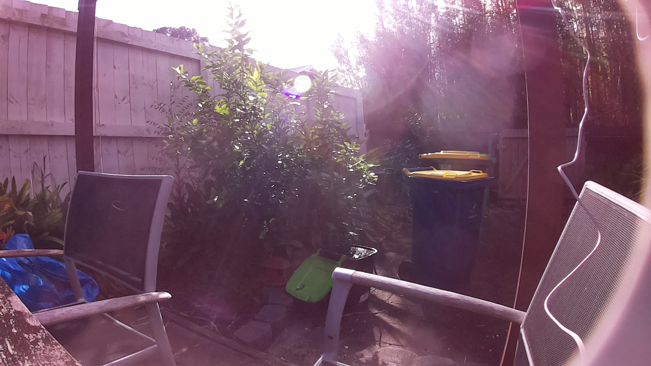 Ham_field1_20250728_100002.jpg