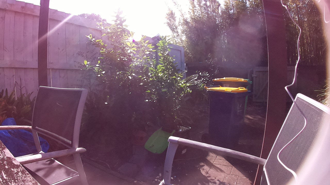 Ham_field1_20250728_110002.jpg
