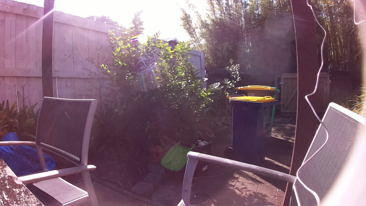 Ham_field1_20250728_113002.jpg