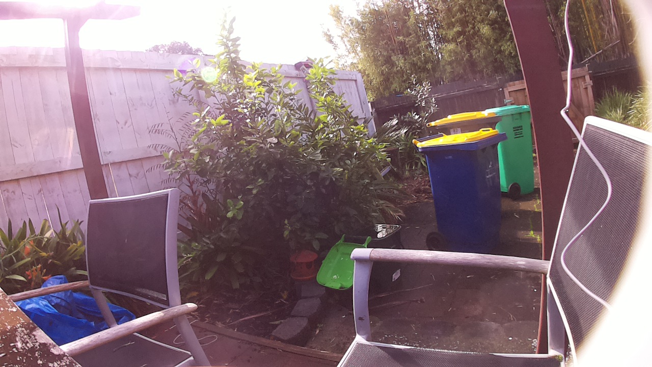 Ham_field1_20250730_123002.jpg