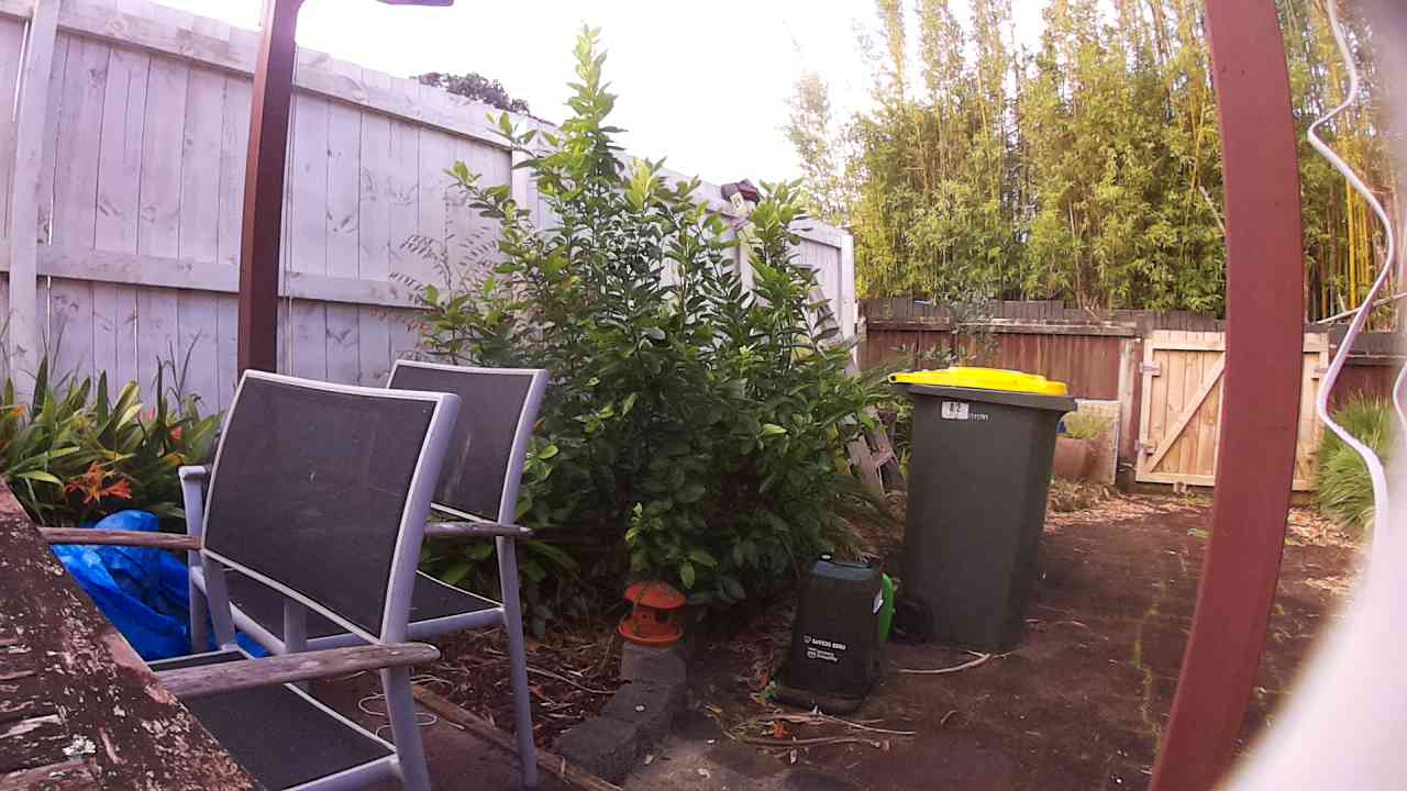 Ham_field1_20250828_153123.jpg