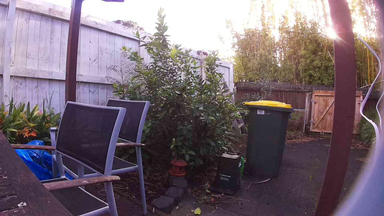 Ham_field1_20250829_075547.jpg