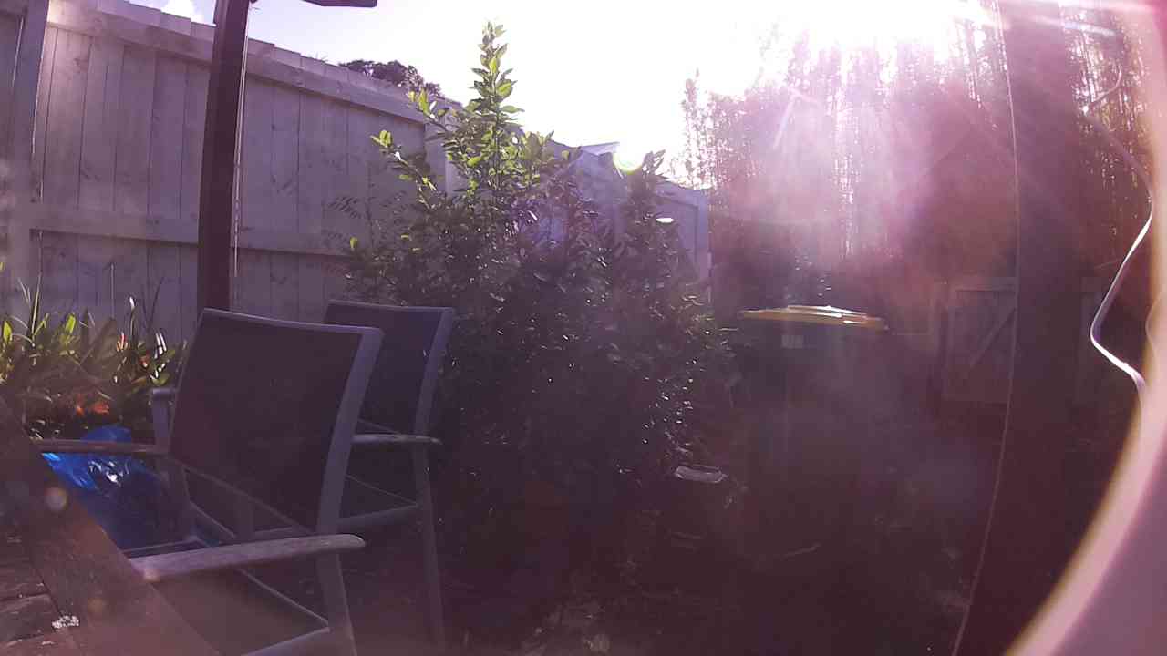 Ham_field1_20250829_090609.jpg