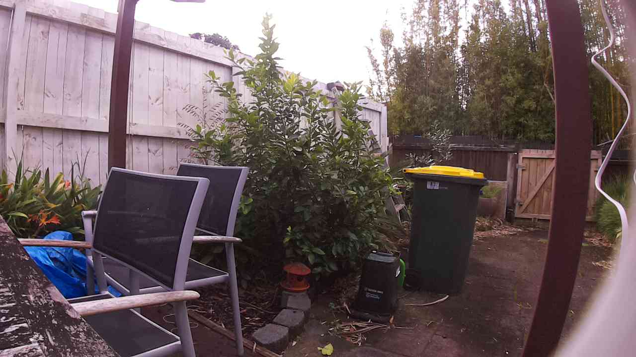 Ham_field1_20250829_112654.jpg