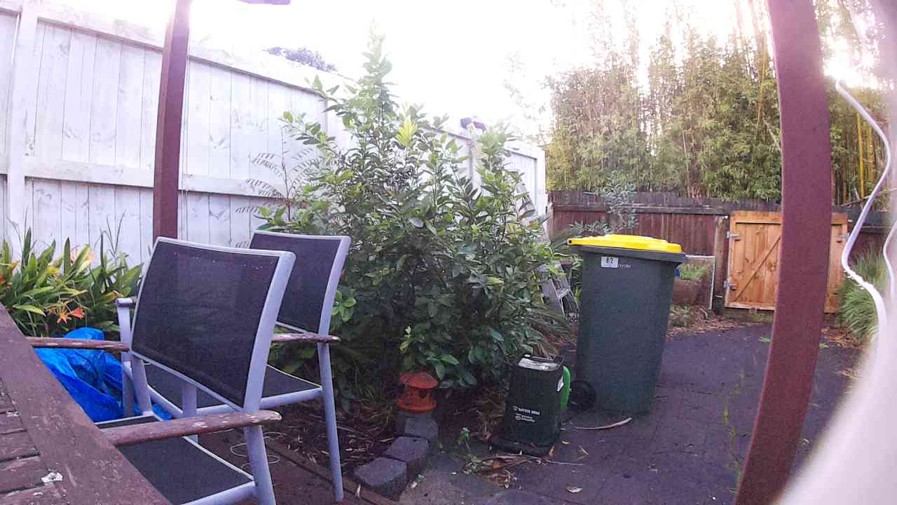 Ham_field1_20250830_072249.jpg