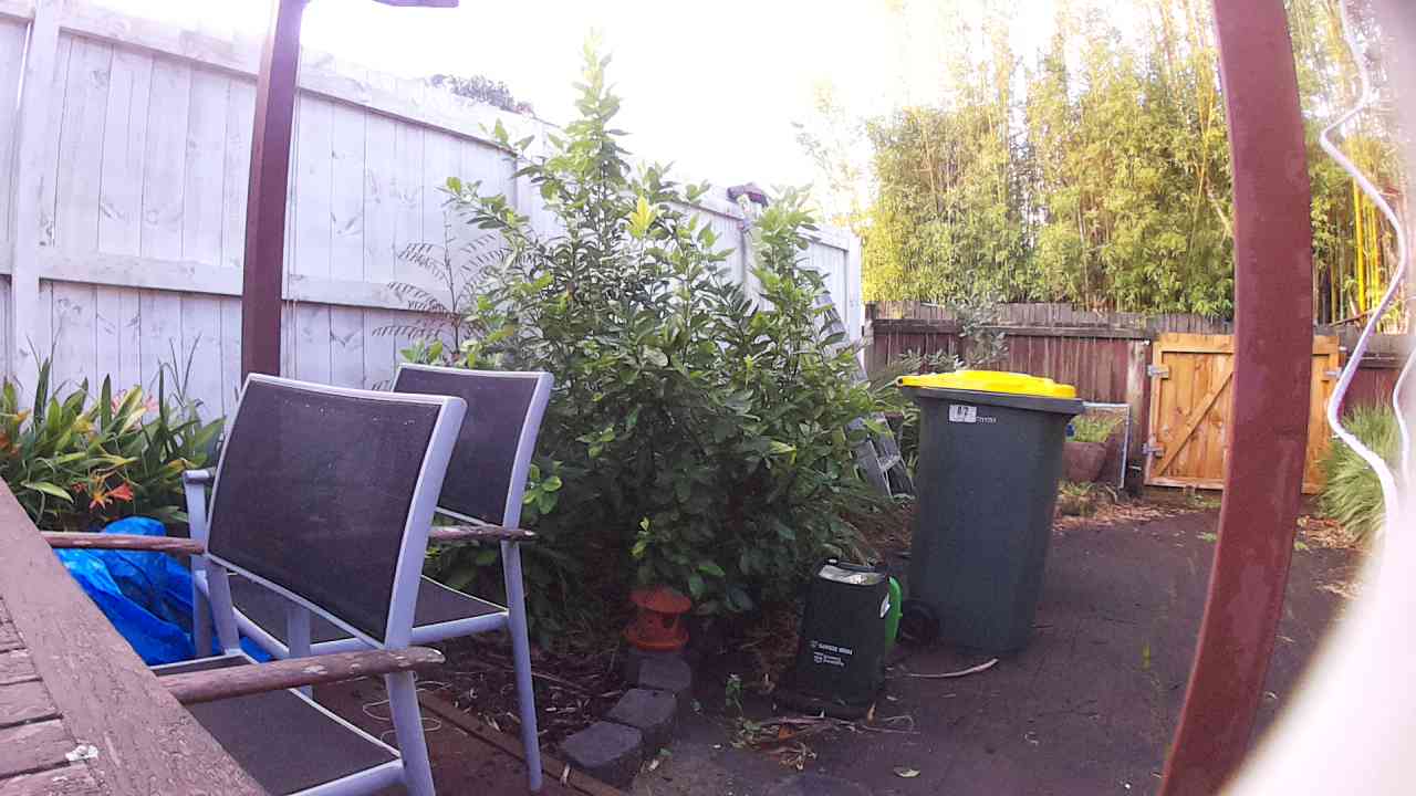 Ham_field1_20250830_164623.jpg