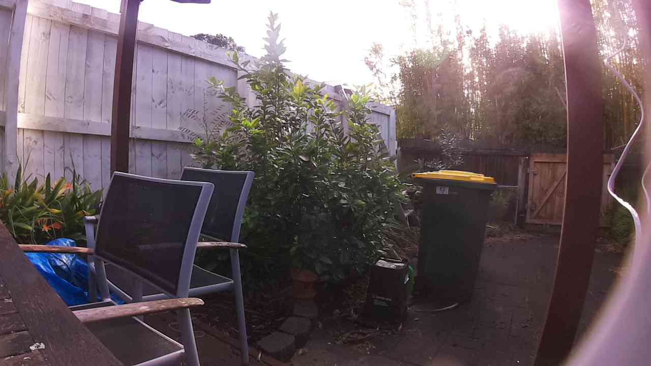 Ham_field1_20250901_083840.jpg