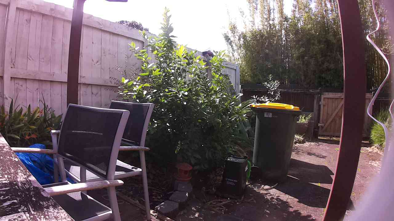 Ham_field1_20250901_121009.jpg