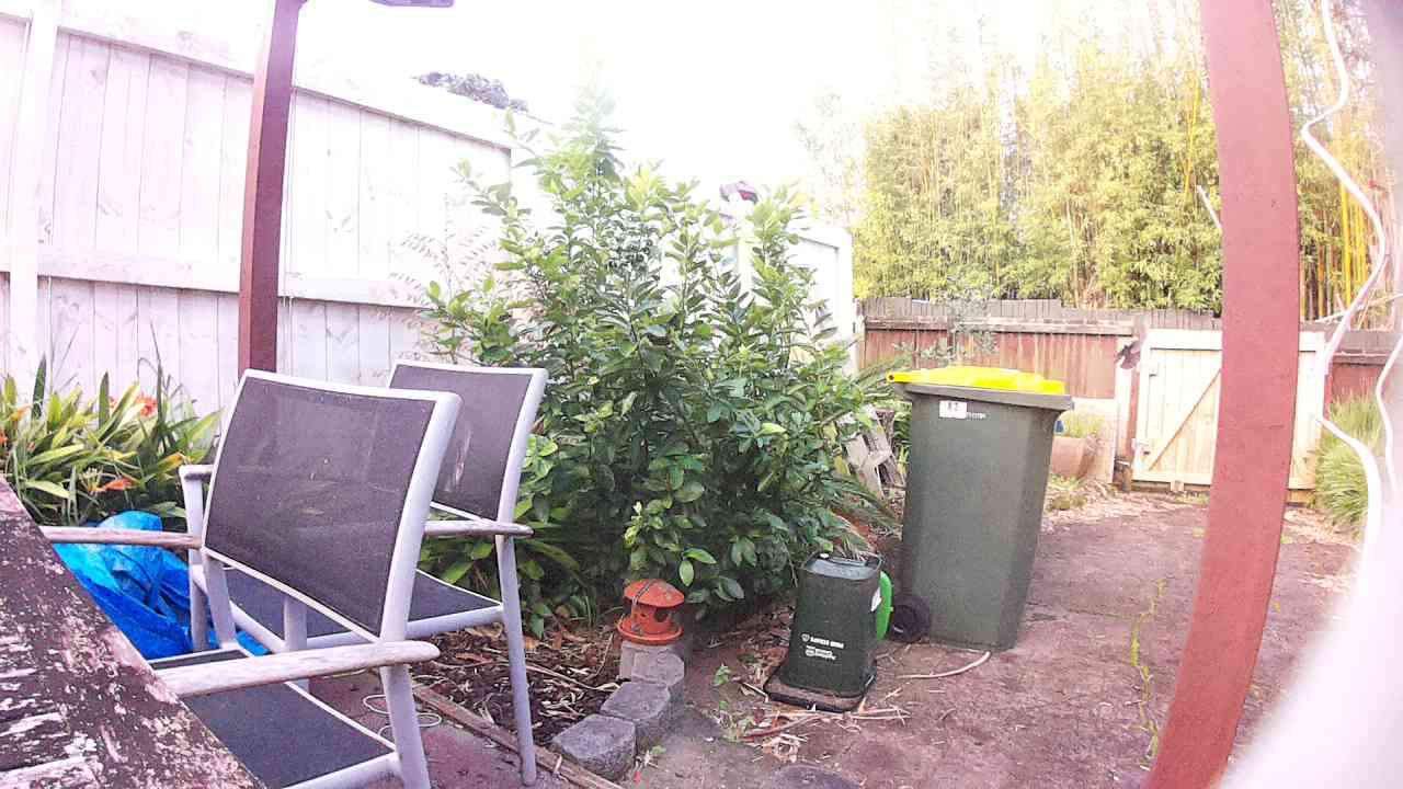 Ham_field1_20250902_172848.jpg