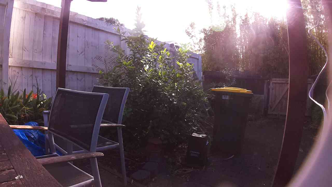 Ham_field1_20250903_084301.jpg