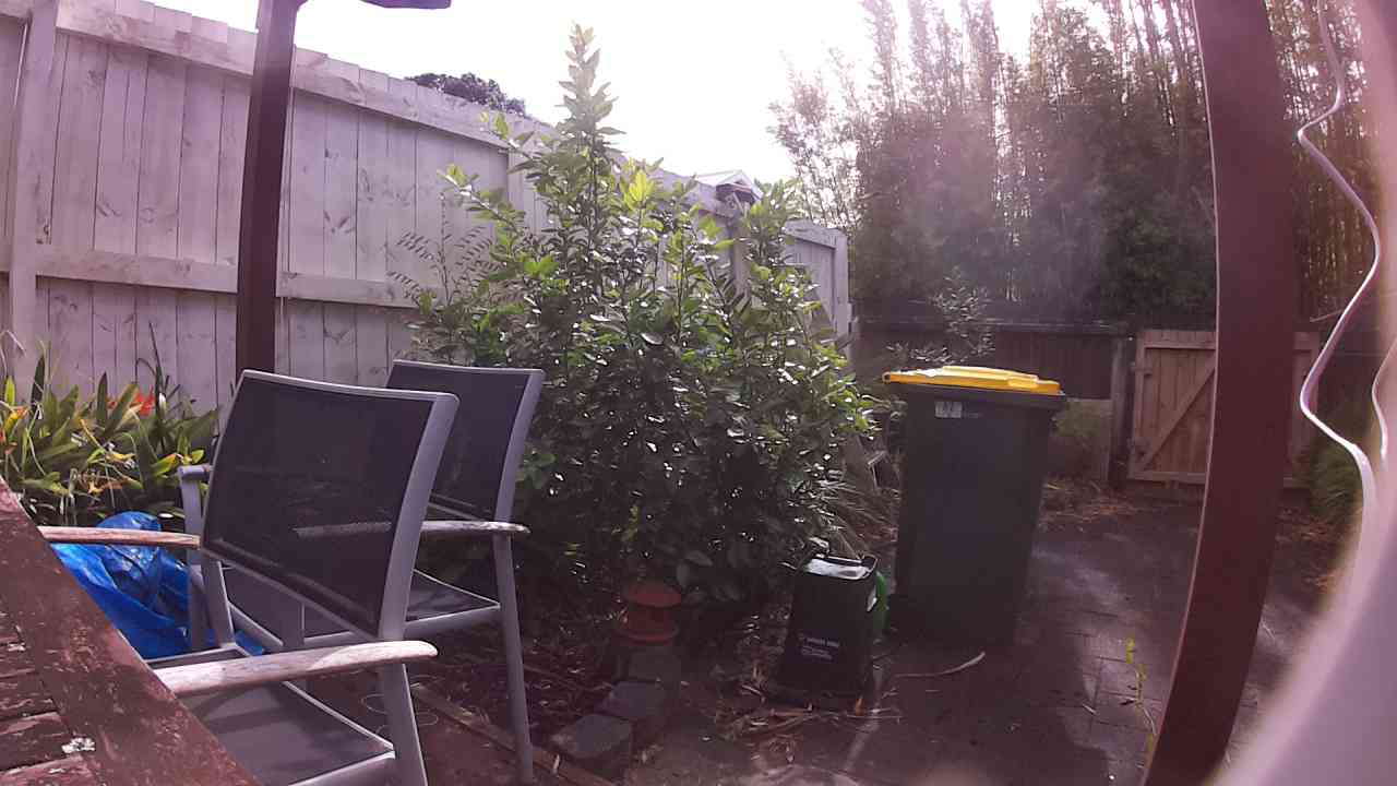 Ham_field1_20250903_095322.jpg