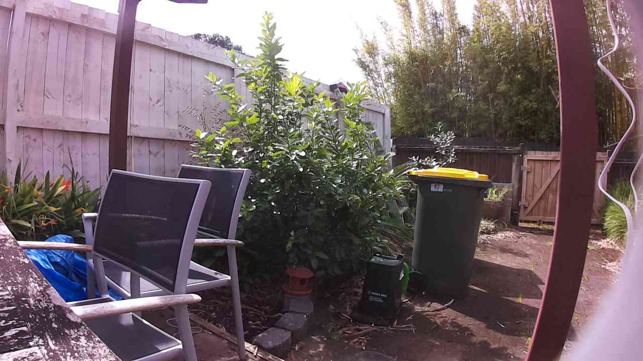 Ham_field1_20250903_121419.jpg