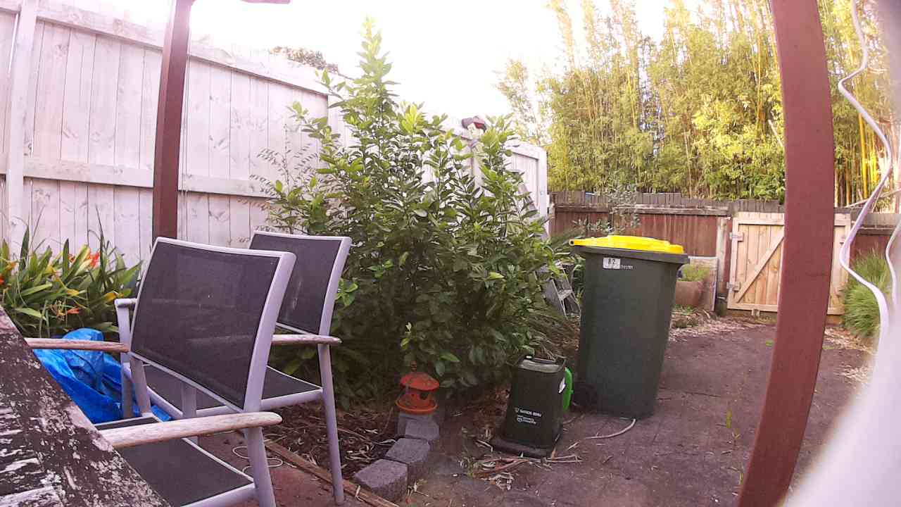 Ham_field1_20250903_165544.jpg