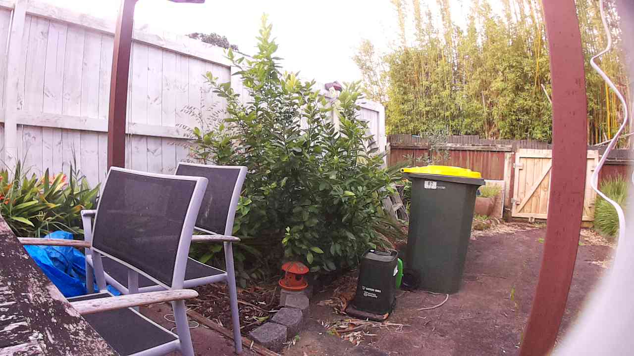 Ham_field1_20250907_170613.jpg