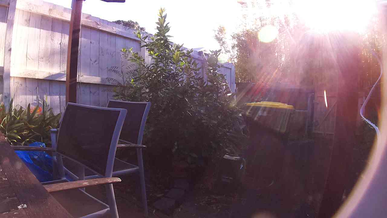 Ham_field1_20250908_081953.jpg