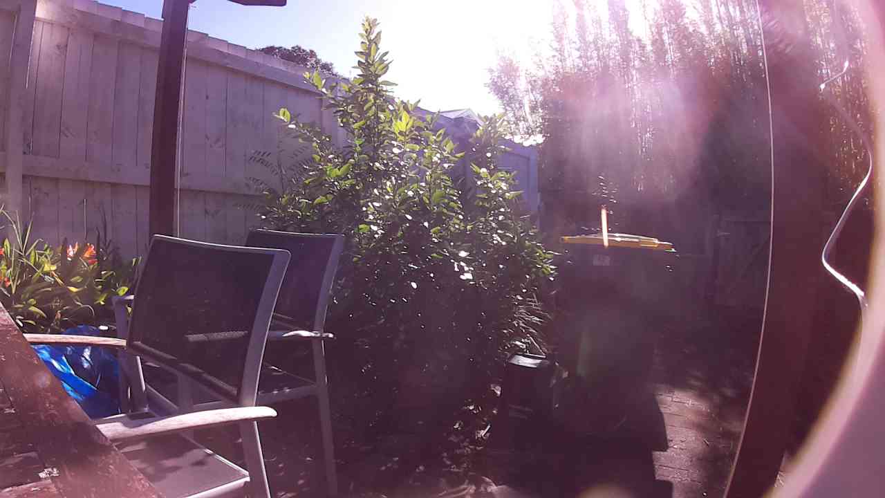 Ham_field1_20250908_093024.jpg