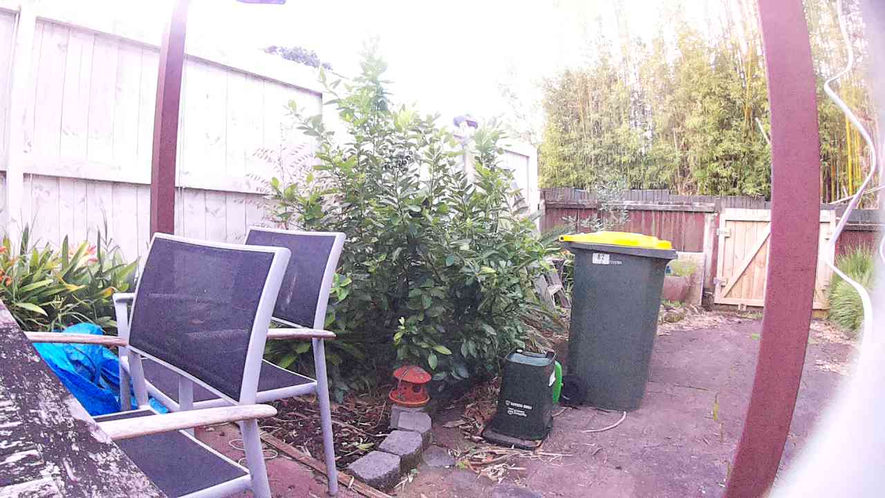 Ham_field1_20250908_174332.jpg