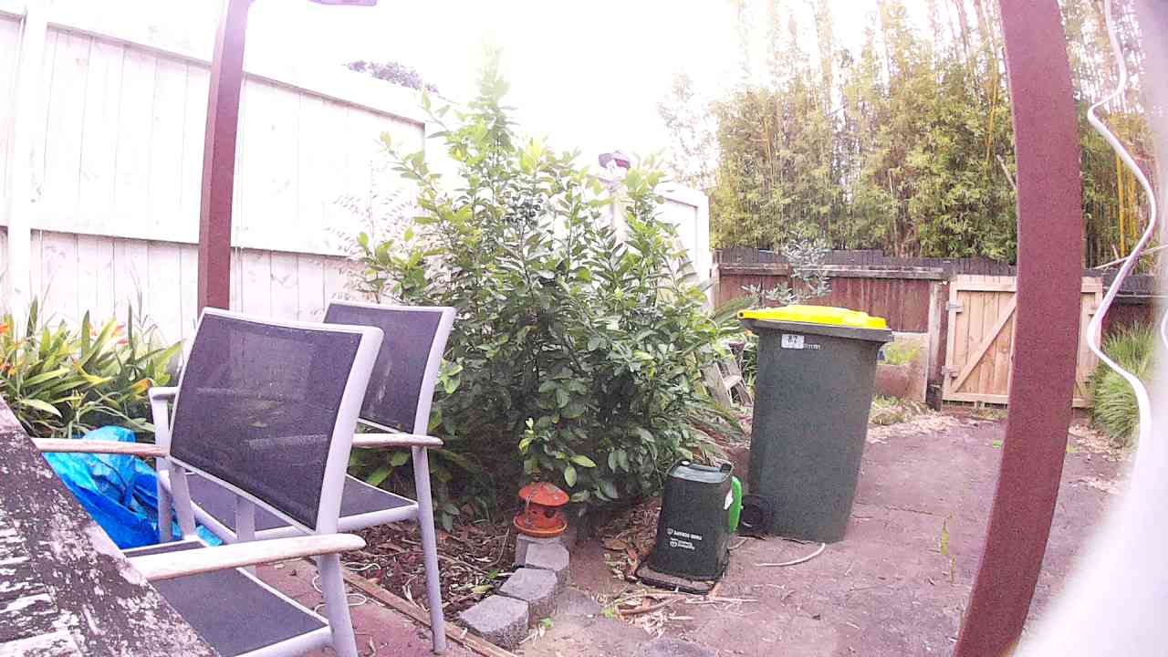 Ham_field1_20250909_171027.jpg