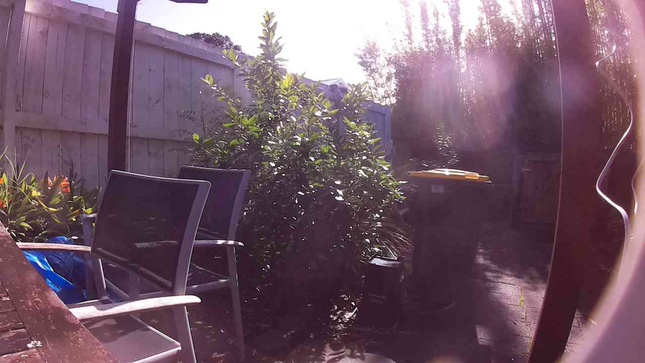 Ham_field1_20250910_093502.jpg