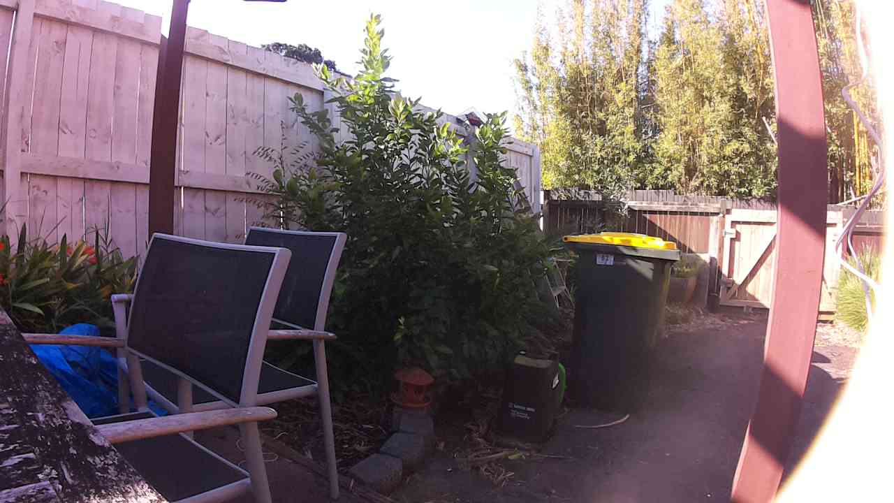 Ham_field1_20250910_152700.jpg