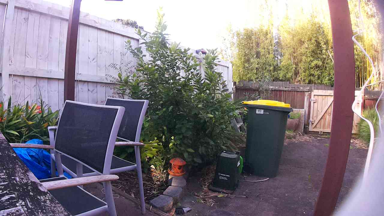 Ham_field1_20250910_163721.jpg