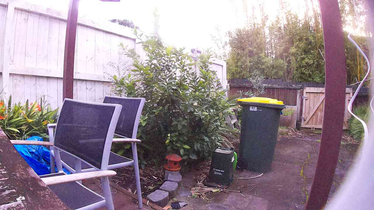 Ham_field1_20250911_064114.jpg