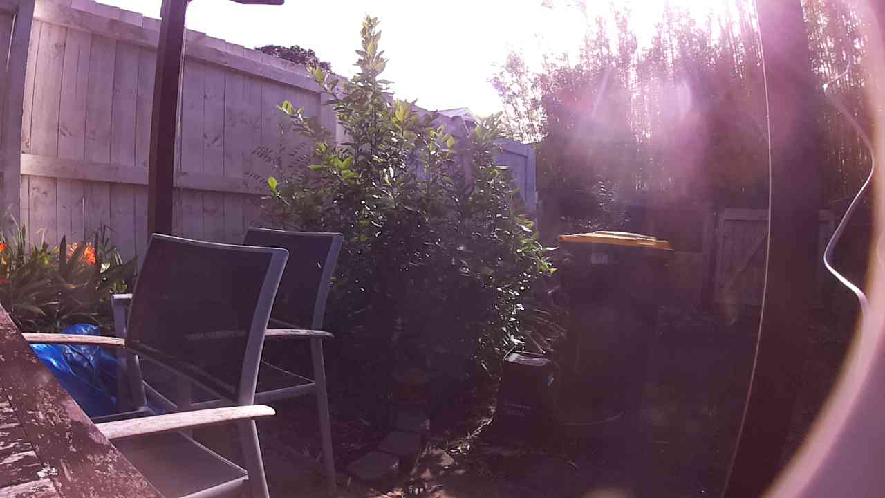Ham_field1_20250911_090207.jpg