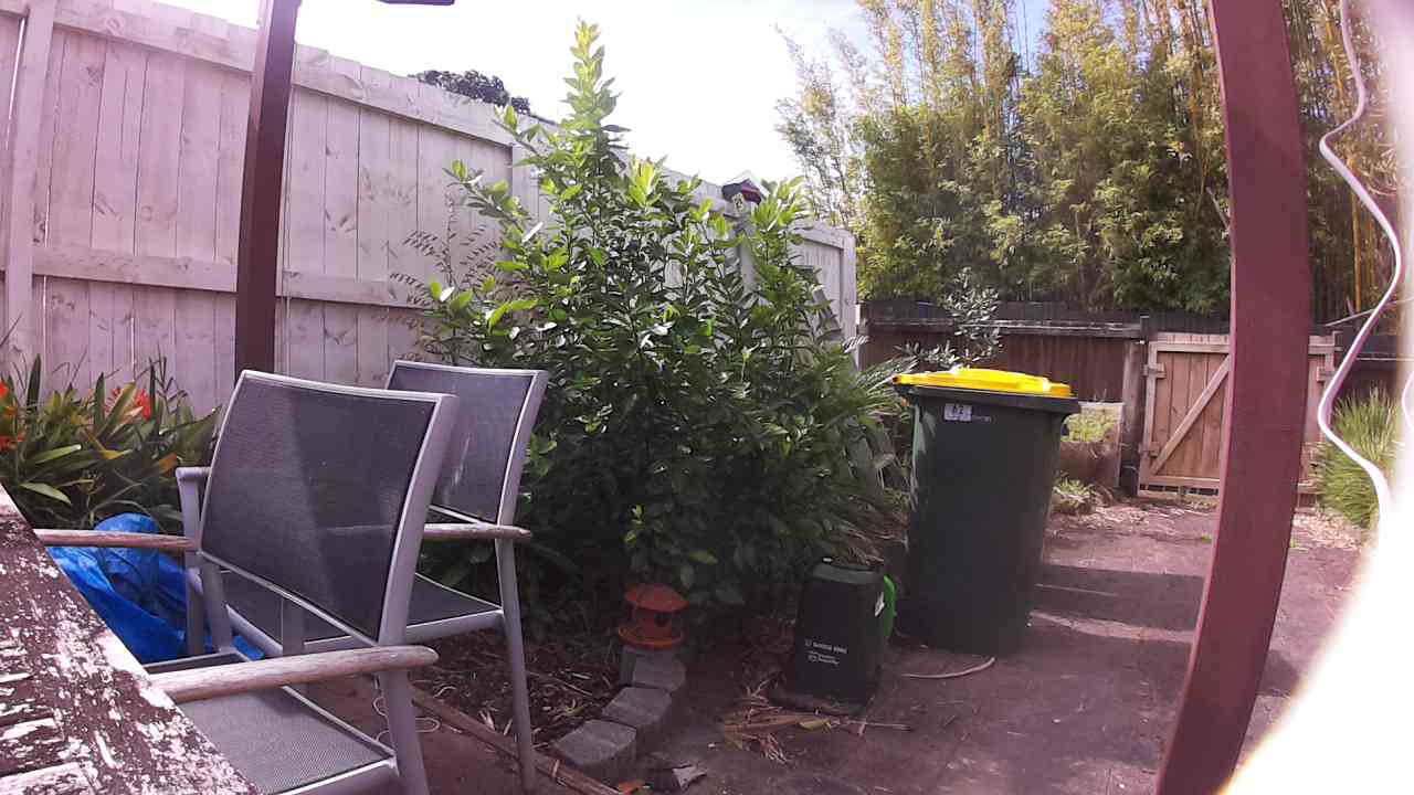 Ham_field1_20250911_134346.jpg