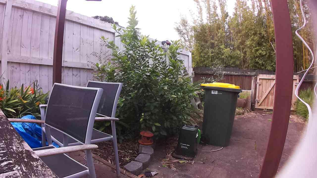 Ham_field1_20250911_145422.jpg