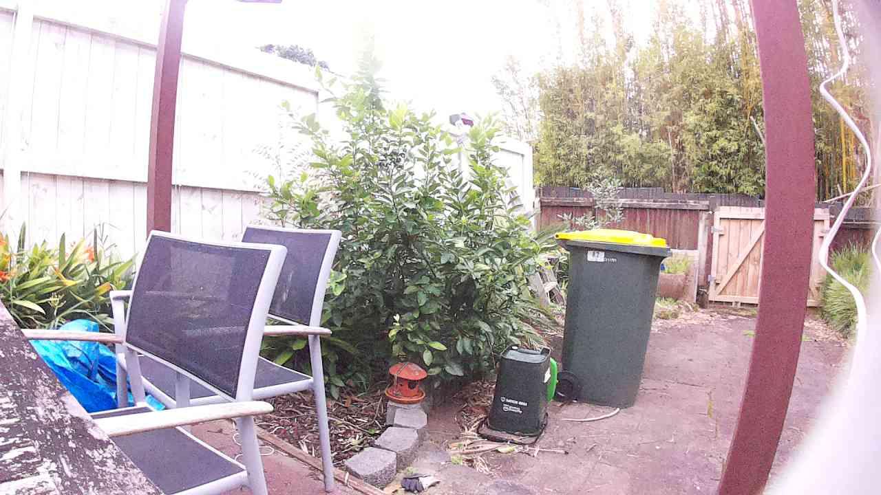 Ham_field1_20250911_171502.jpg