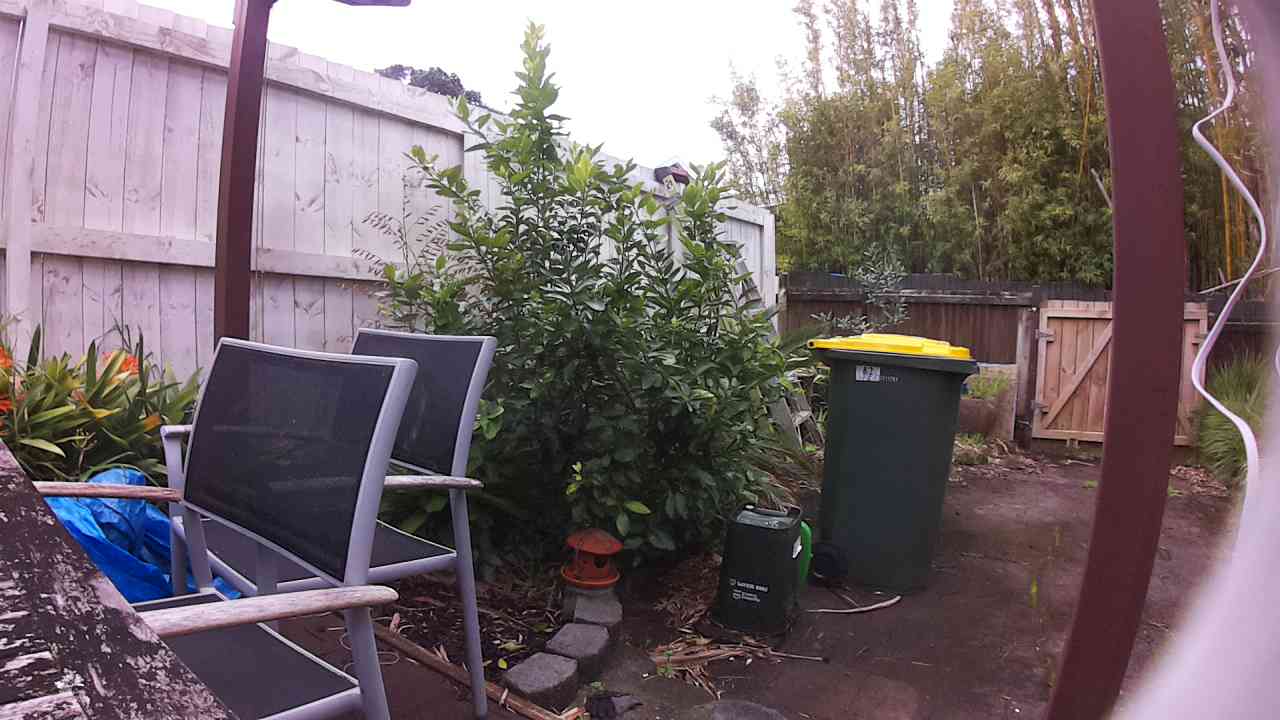 Ham_field1_20250914_142921.jpg