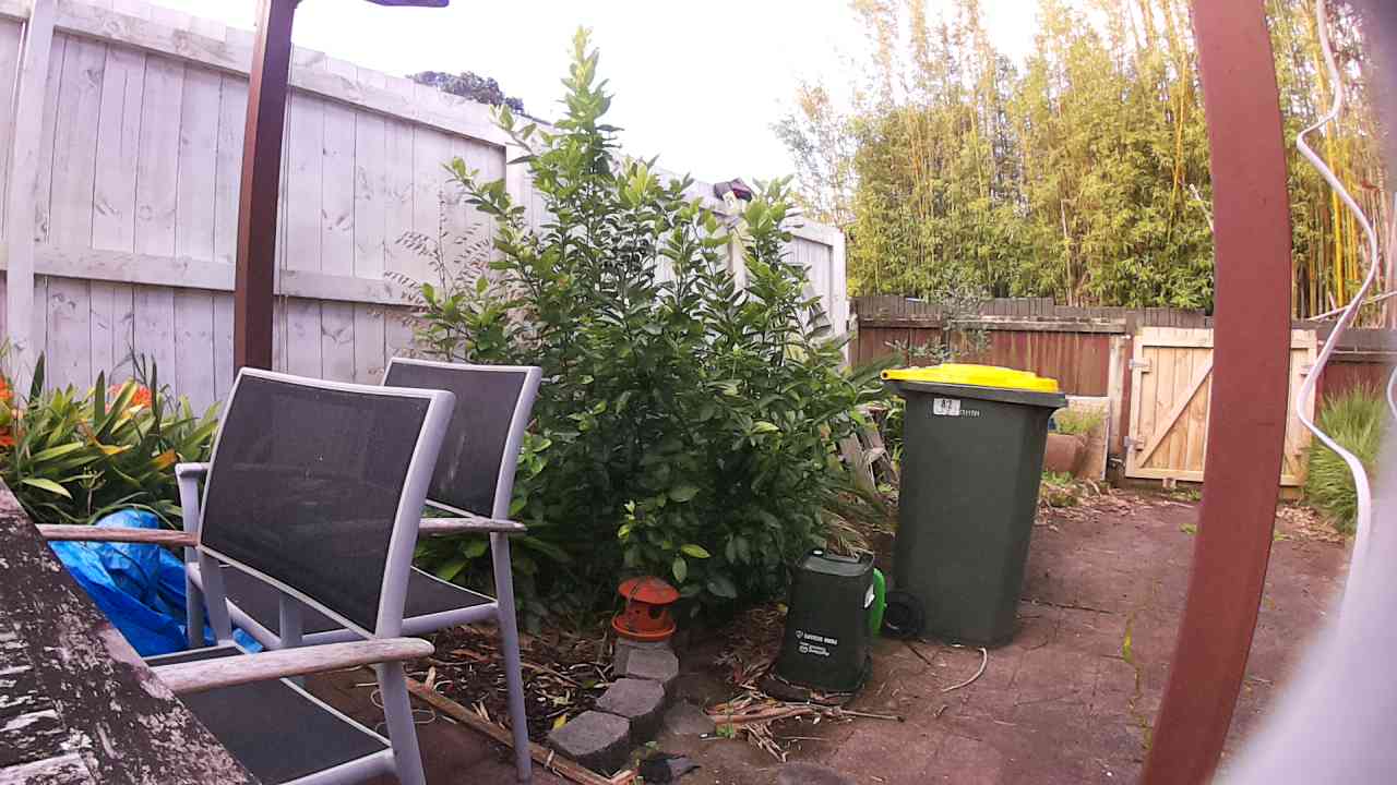 Ham_field1_20250914_165020.jpg