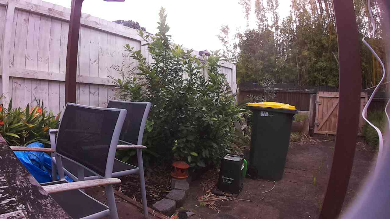 Ham_field1_20250915_091430.jpg