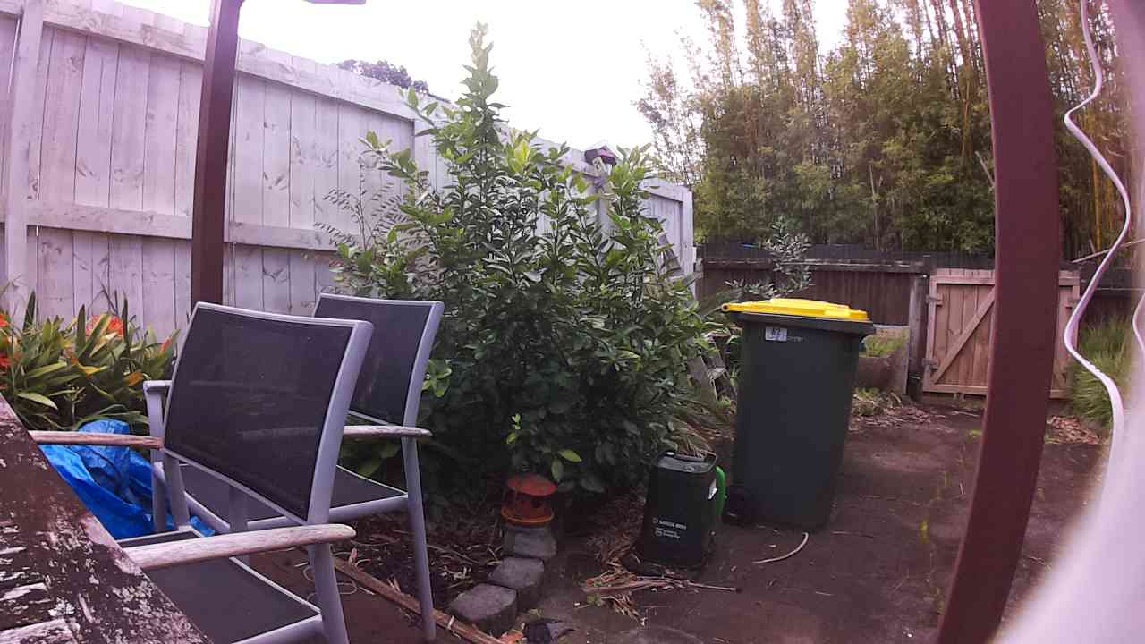 Ham_field1_20250915_124552.jpg
