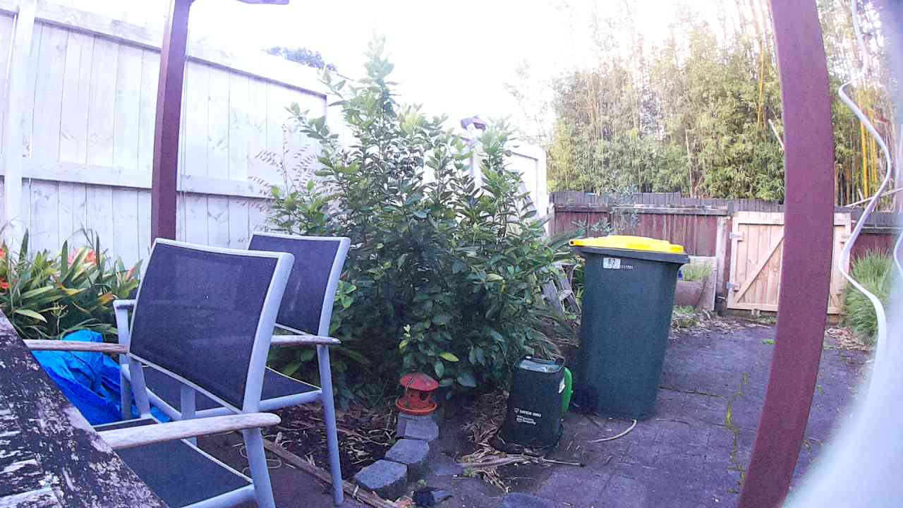 Ham_field1_20250915_172728.jpg
