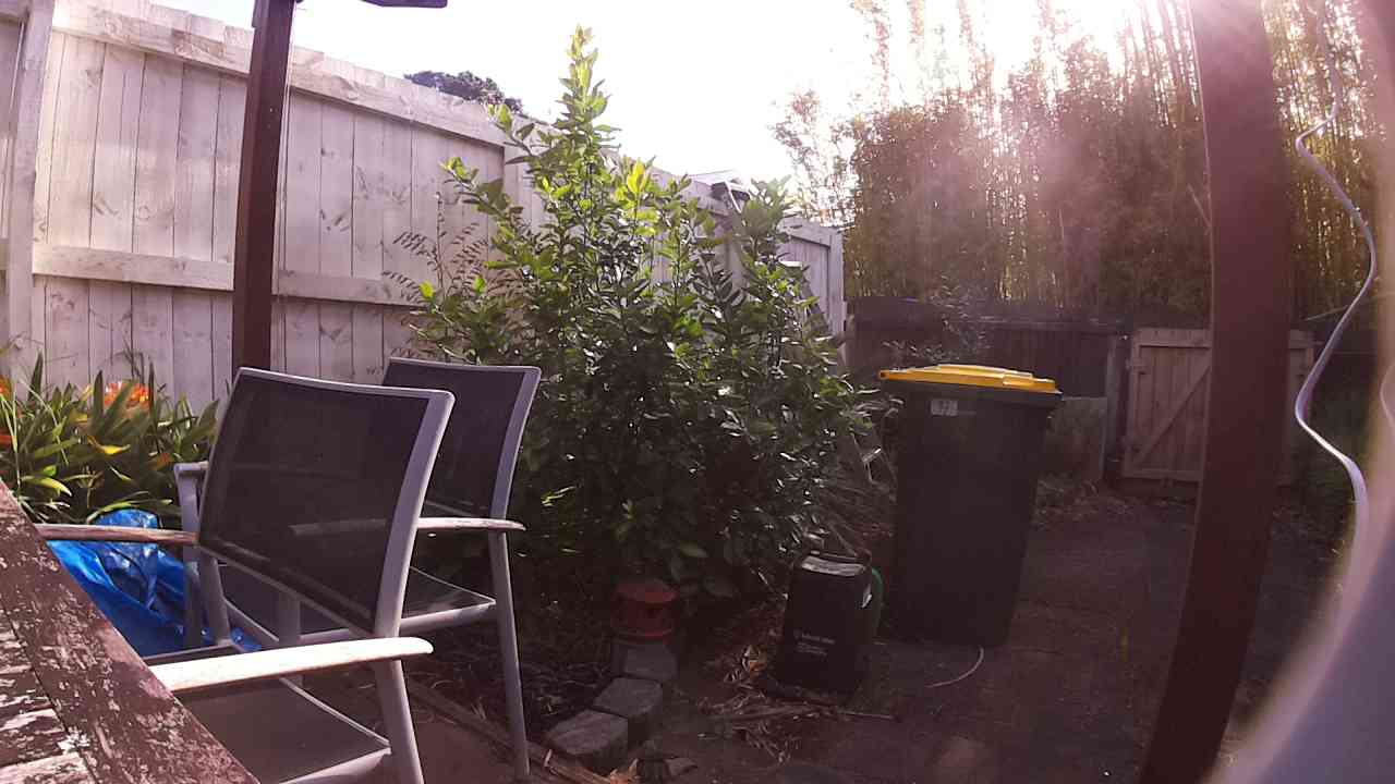 Ham_field1_20250916_084103.jpg