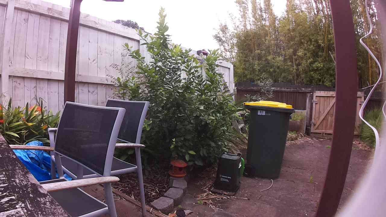 Ham_field1_20250916_121212.jpg