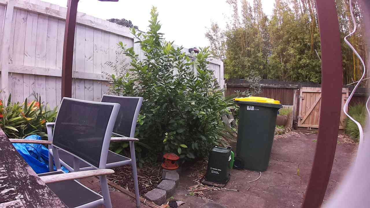 Ham_field1_20250916_143253.jpg