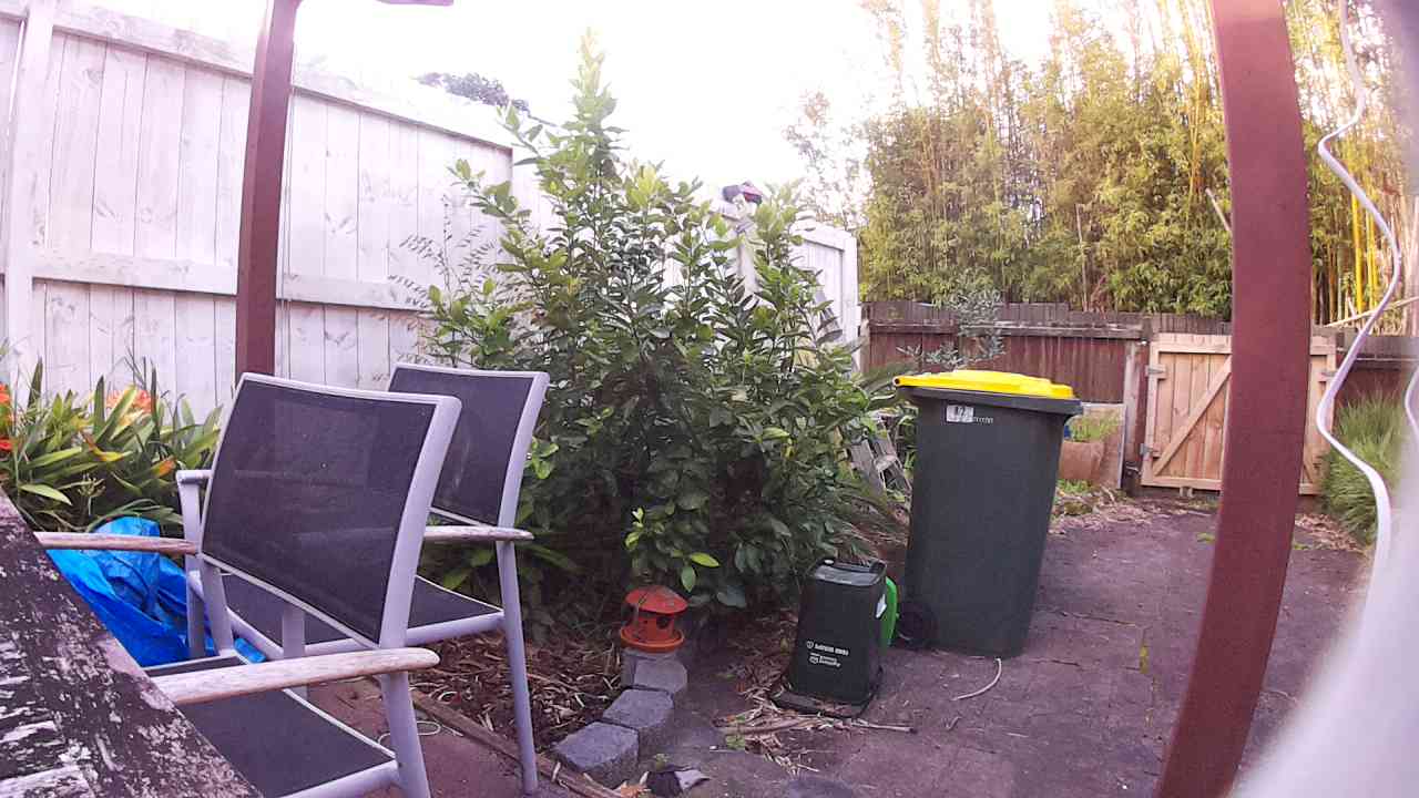 Ham_field1_20250916_165340.jpg